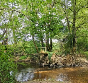 Sentier du Jaunay - Beaulieu-sous-la-Roche - 5