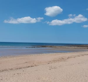 L'océan à Vertbois par la forêt - Dolus-d'Oléron - 3