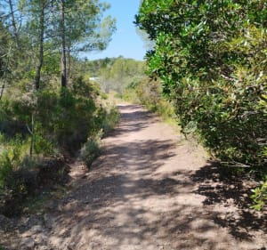 Petit tour dans le massif de l'Esterel - Saint-Raphaël - 5