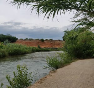 Balade le long de la Turia à Riba-roja de Túria - Riba-roja de Túria - 3