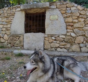 Parc de Pichauris - Allauch - 5
