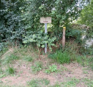 Boucle de la Verrerie - Paussac-et-Saint-Vivien - 5
