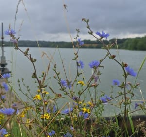 Balade au réservoir de Fourogue - Mailhoc - 4