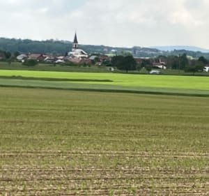 Petite balade champêtre dans la zone de loisirs de Keskastel - Keskastel - 5