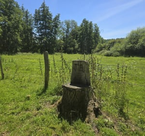 Parc Parissot et ses alentours - Beaumont-le-Roger - 5