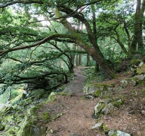Les gorges de Villiers - Saint-Ouen-le-Brisoult - 4