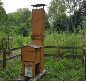 En Hurepoix, découverte du Parc du Colombier et environs - Breuillet - 5