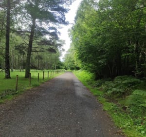 Rando dans les Bois d'Orcines - Orcines - 4