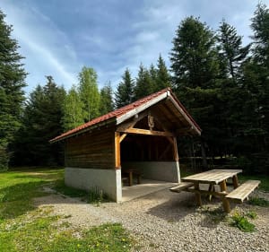 Trail Walscheid par le Hohwalsch et la Roche du Diable - Walscheid - 3