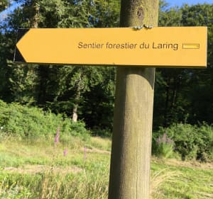 Sentier forestier du Laring - Monein - 3