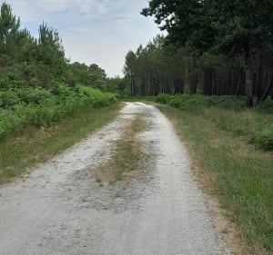 Méric pistes forestières - Saint-Yzan-de-Soudiac - 5