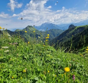 Montée au Col d'Orgeval - Etienne - 3