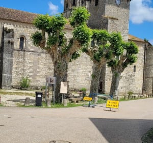 Boucle de Cissac au marais de Vertheuil - Cissac-Médoc - 3