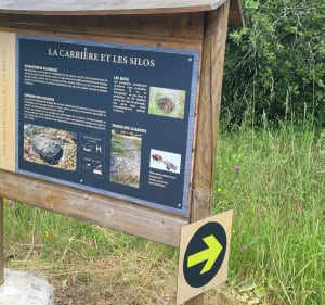Boucle de Cissac au marais de Vertheuil - Cissac-Médoc - 5