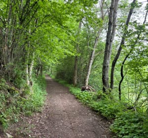 Mont d’Hermone et sa Chapelle, par le col du Feu. - Lyaud - 4