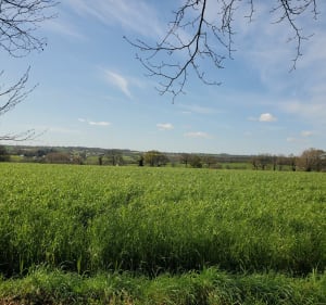 Forêt de Loudéac. centre équestre - Loudéac - 3