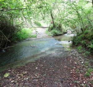 Saint Pé - Bois du Bédat - Plateau de Mousquès (en boucle ) - Saint-Pé-de-Bigorre - 3