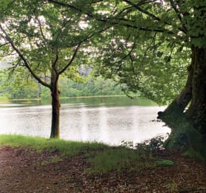 Randonnée avec une boucle Marmagne Uchon Saint Symphorien - Marmagne - 3