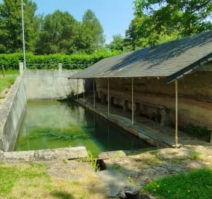 Boucle entre Sarthe et Maine-et-Loire - La Flèche - 3