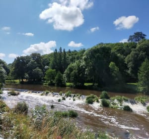 Sentier des coteaux depuis Tiffauges - Tiffauges - 3