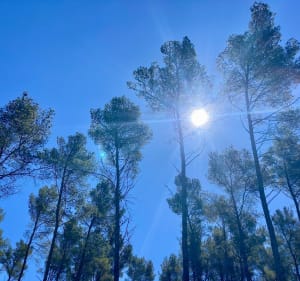Vallon de Lèque - Saint-Rémy-de-Provence - 3