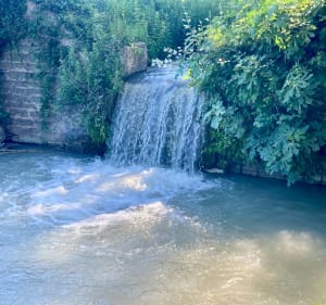 Vallon de Lèque - Saint-Rémy-de-Provence - 4