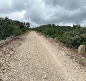 Nîmes pont du Gard retour par la Torte - Nîmes - 4