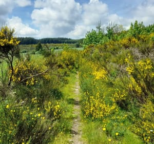 Col de la croix de Boudet en passant par Saint Beauzély - Saint-Beauzély - 4