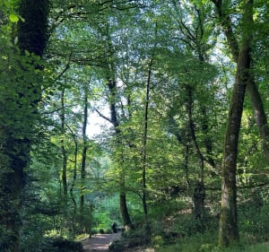 En suivant le ruisseau de La Vraie Croix - La Vraie-Croix - 4