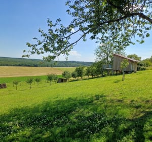 Randonnée Ville sur Illon 88 - Ville-sur-Illon - 4