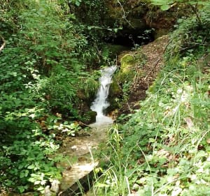 Randonnée des sources de Douzillac - Douzillac - 3