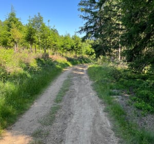 Col de la Croix de Chaubouret par la Tourière - La Versanne - 3