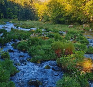 Le Petit Pic de Cazalassis - Mérens-les-Vals - 3