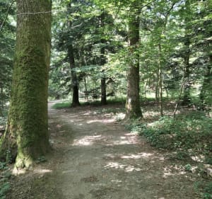 Tour des villages par routes et chemins depuis Miserey-Salines - Miserey-Salines - 3