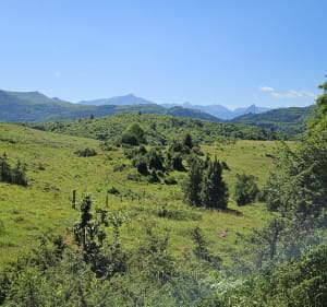 Boucle Caussou - Scaramus - Col de Marmaremare - Caussou - 4