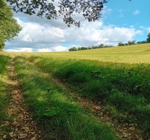 Combe et recombe Francheville - Curtil-Saint-Seine - 3