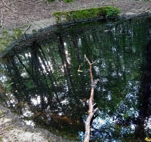 Combe et recombe Francheville - Curtil-Saint-Seine - 5