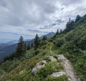 Panorama et lac depuis le refuge du Pré du Mollard jusqu'à la pointe de la Sitre - La Combe-de-Lancey - 4