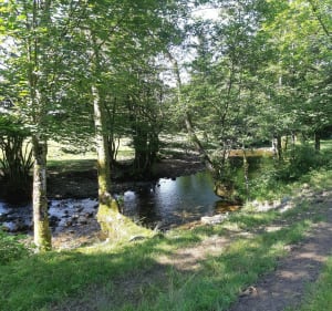 La roche du cerf depuis Lepuix - Lepuix - 3