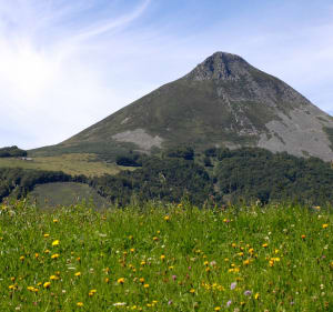 Ascension du Puy Griou depuis les Chazes - Saint-Jacques-des-Blats - 4