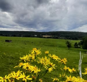 Boucle de Foulain , Luzy-Marne et Verbieles - Foulain - 3