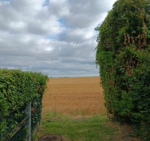 Balade autour de Bruyères sur Oise - Bruyères-sur-Oise - 3