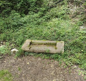 Sentier du Mont - Point de vue des tables - Ontex - 5