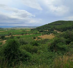 Boucle sur les hauteurs de Campagnan - Campagnan - 4