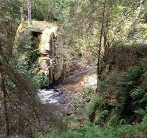 Le saut des cuves - La Roche du Page - Xonrupt-Longemer - 3