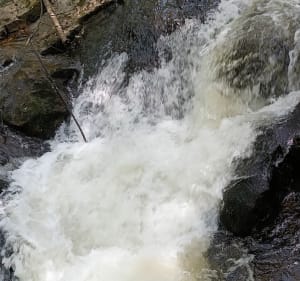 Le saut des cuves - La Roche du Page - Xonrupt-Longemer - 5