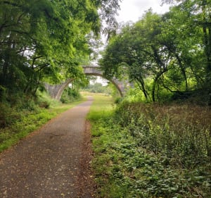 Circuit des gares depuis Vilhonneur - Moulins-sur-Tardoire - 3