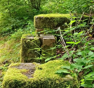 Rando Vauveix - Anse de Châteaucourt - Royère-de-Vassivière - 3