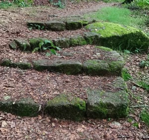 Rando Vauveix - Anse de Châteaucourt - Royère-de-Vassivière - 4