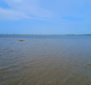 Tour de l'étang de Mateille - Gruissan - 4